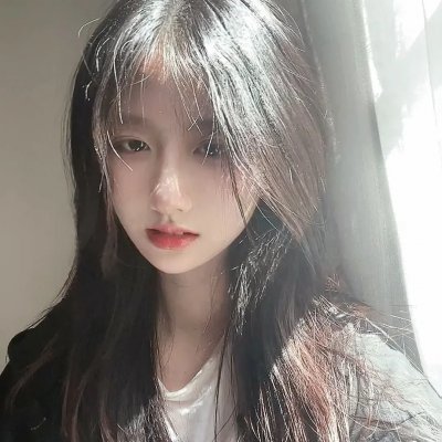 森林之北